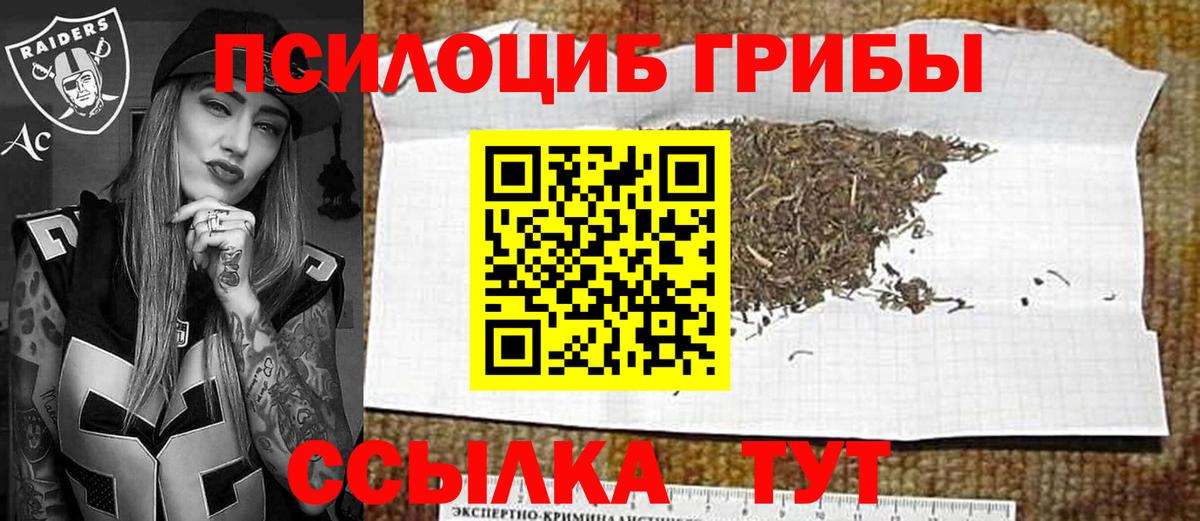 Псилоцибиновые грибы Psilocybine cubensis  Вход с VPN  Куйбышев 
