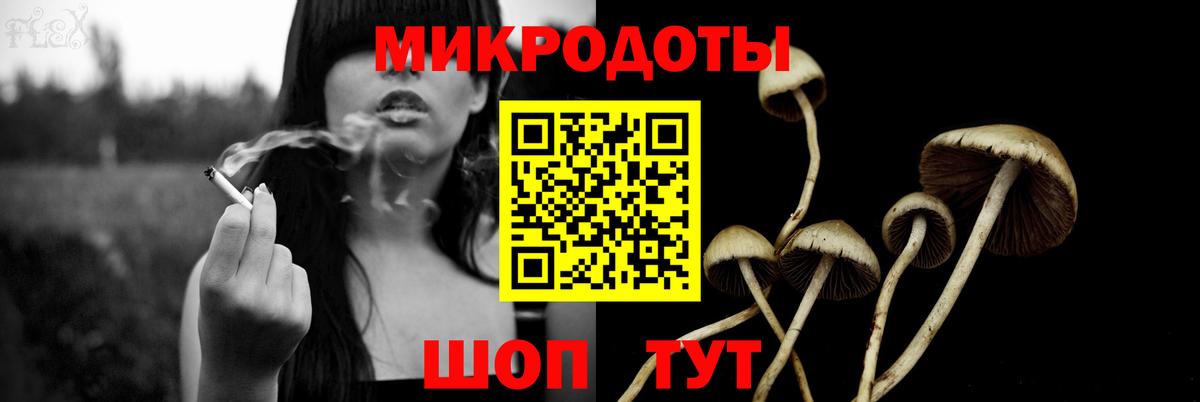Галлюциногенные грибы Psilocybine cubensis Куйбышев
