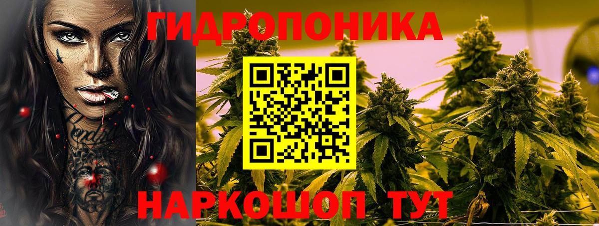 МАРИХУАНА планчик Куйбышев